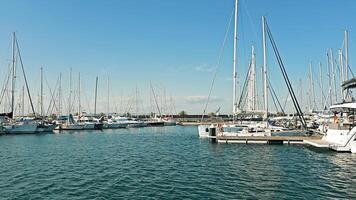 sereen jachthaven met afgemeerd zeilboten, zeilboten aangemeerd Bij een kalmte jachthaven onder een Doorzichtig lucht. video