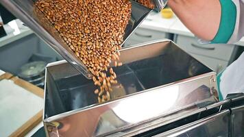 Soybean Sorting in Industrial Selection Process, Close-up of soybeans being selected on a conveyor. video