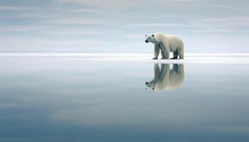 AI generated Majestic arctic mammal walking on frozen ice generated by AI photo