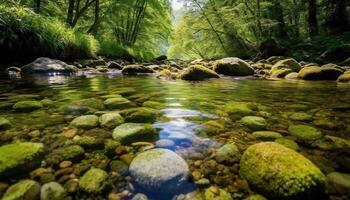 AI generated Tranquil scene of flowing water in lush forest generated by AI photo