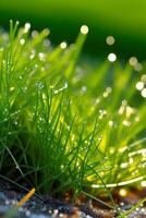 AI generated green grass with dew drops on it photo