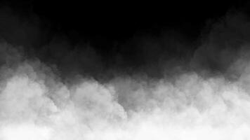 Abstract smoke on isolated black background. White realistic dust and smoke overlay on black background. Texture overlays. photo