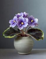 ai generado saintpaulia flores en florero en gris antecedentes foto