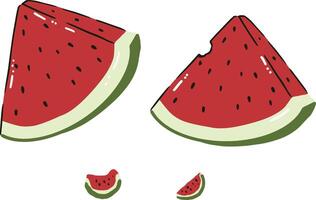 Set of fresh watermelon vector