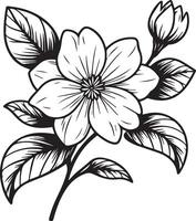 Simple flower coloring pages, Coloring pages for adults, hand drawing flower sketch art of jasmine, blossom gerdenia flower line art vector illustration, floral garden for beautiful coloring pages