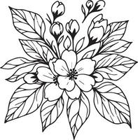 Jasmine flower isolated, hand-drawn jasmine floewr drawings. vector illustration bouquet of jasmine flower, sketch art beautiful white jasmine flower tattoo, coloring page for adults