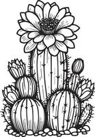 Cactus with flower coloring pages for adults, outline cactus drawings, cactus vector art, cactus botanical illustrations, desert cactus coloring page,  outline cactus coloring page, realistic cactus