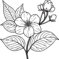 Single line drawing of beauty fresh jasmine for home wall decor Printable poster decorative jasmine flower concept. Modern line drawing jasmine flower vector illustration