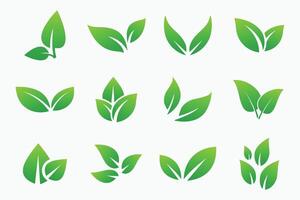 Leaves icon vector set. Green leaf icons set. Collection green leaf. Elements for eco and bio logos.