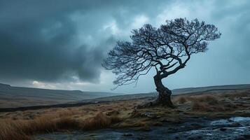 AI generated Resilient Lone Tree Endures Stormy Weather Standing Strong Against Adversity photo