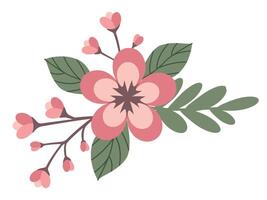 Blossom sakura flowers branch vector