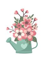 Watering can with blossom sakura flower isolated on white background vector