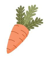 Carrot isolated on white background. Easter element. Vector illustration. Flat cute style.