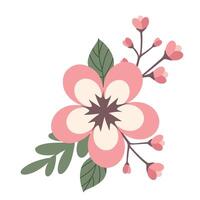 Blossom sakura flowers branch vector