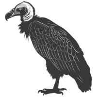 AI generated Silhouette vulture bird animal black color only png