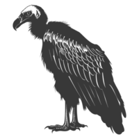 AI generated Silhouette vulture bird animal black color only png