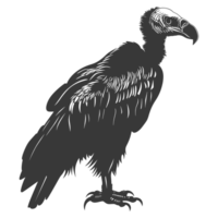 AI generated Silhouette vulture bird animal black color only png