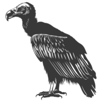 AI generated Silhouette vulture bird animal black color only png