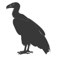 AI generated Silhouette vulture bird animal black color only png