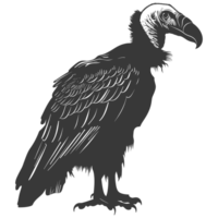 AI generated Silhouette vulture bird animal black color only png