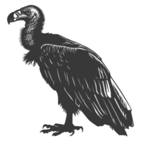 AI generated Silhouette vulture bird animal black color only png