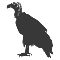 AI generated Silhouette vulture bird animal black color only png