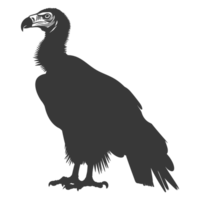 AI generated Silhouette vulture bird animal black color only png