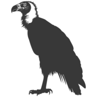 AI generated Silhouette vulture bird animal black color only png