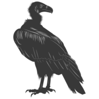 AI generated Silhouette vulture bird animal black color only png