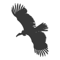 AI generated Silhouette vulture bird animal fly black color only png