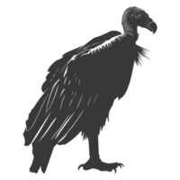 AI generated Silhouette vulture bird animal black color only png