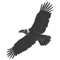 AI generated Silhouette vulture bird animal fly black color only png