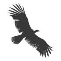 ai généré silhouette vautour oiseau animal mouche noir Couleur seulement png