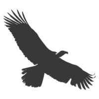 AI generated Silhouette vulture bird animal fly black color only png