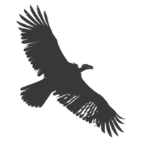 AI generated Silhouette vulture bird animal fly black color only png