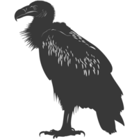 AI generated Silhouette vulture bird animal black color only png