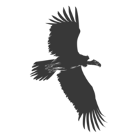 AI generated Silhouette vulture bird animal fly black color only png