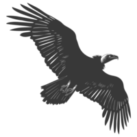 AI generated Silhouette vulture bird animal fly black color only png