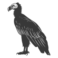 ai generato silhouette avvoltoio uccello animale nero colore solo png