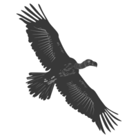 AI generated Silhouette vulture bird animal fly black color only png