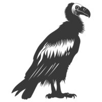 AI generated Silhouette vulture bird animal black color only png