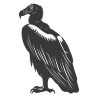 ai generato silhouette avvoltoio uccello animale nero colore solo png