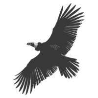 AI generated Silhouette vulture bird animal fly black color only png
