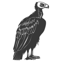 AI generated Silhouette vulture bird animal black color only png