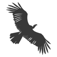 AI generated Silhouette vulture bird animal fly black color only png