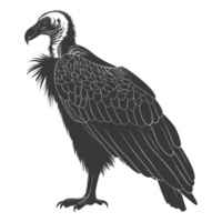 AI generated Silhouette vulture bird animal black color only png