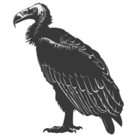 AI generated Silhouette vulture bird animal black color only png