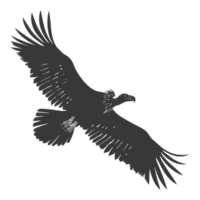 AI generated Silhouette vulture bird animal fly black color only png