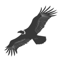 AI generated Silhouette vulture bird animal fly black color only png