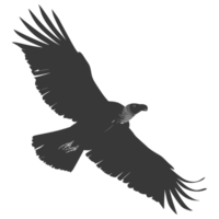 AI generated Silhouette vulture bird animal fly black color only png